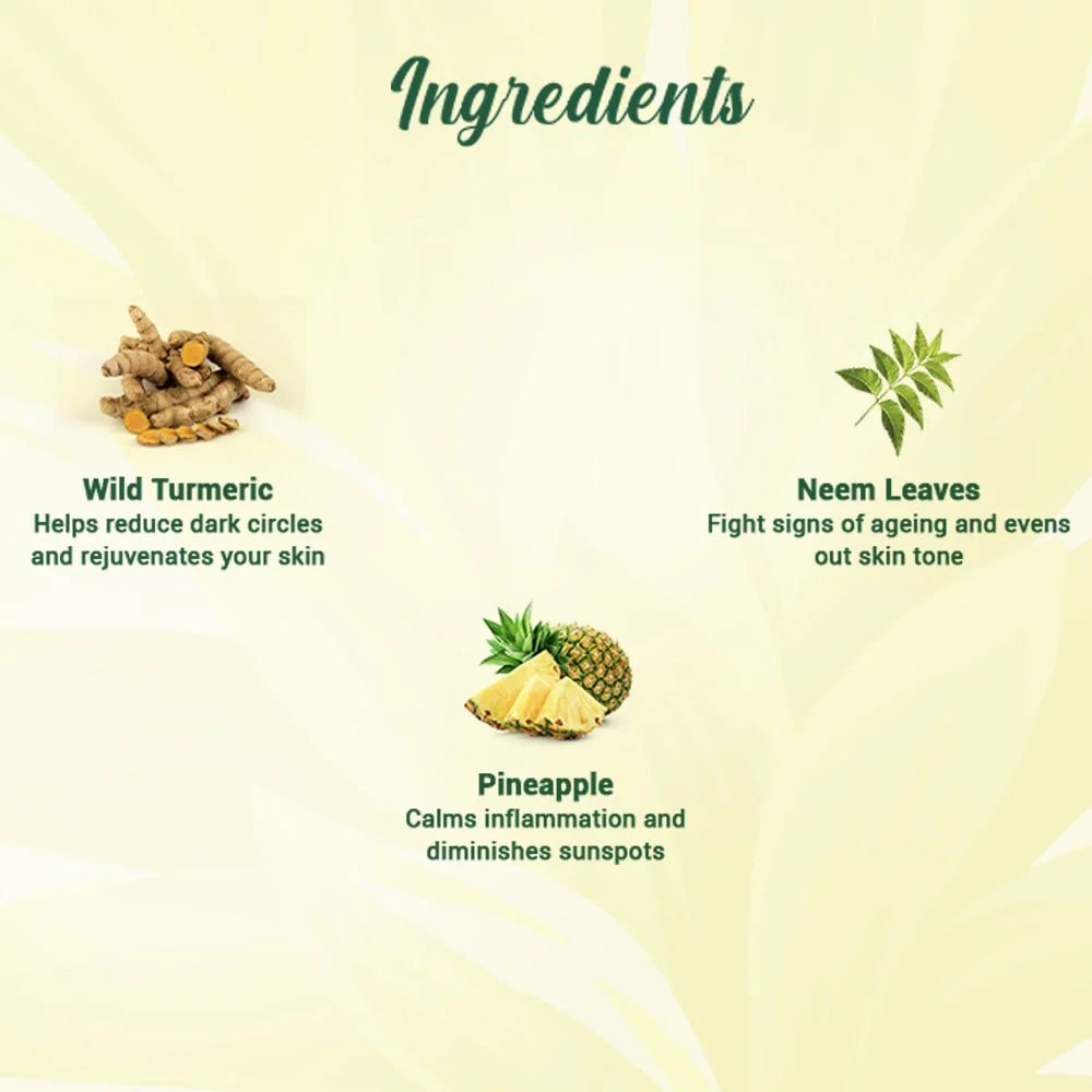 Biotique Bio Pineapple Oil Control Foaming Face Cleanser Normal to Oily Skin (120 ml)