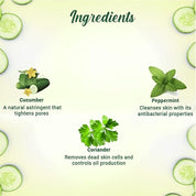 Biotique Cucumber Pore Tightening Toner