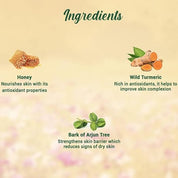 Biotique Honey Gel Soothe & Nourish Foaming Face wash