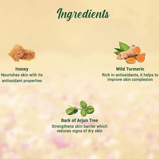 Biotique Honey Gel Soothe & Nourish Foaming Face wash