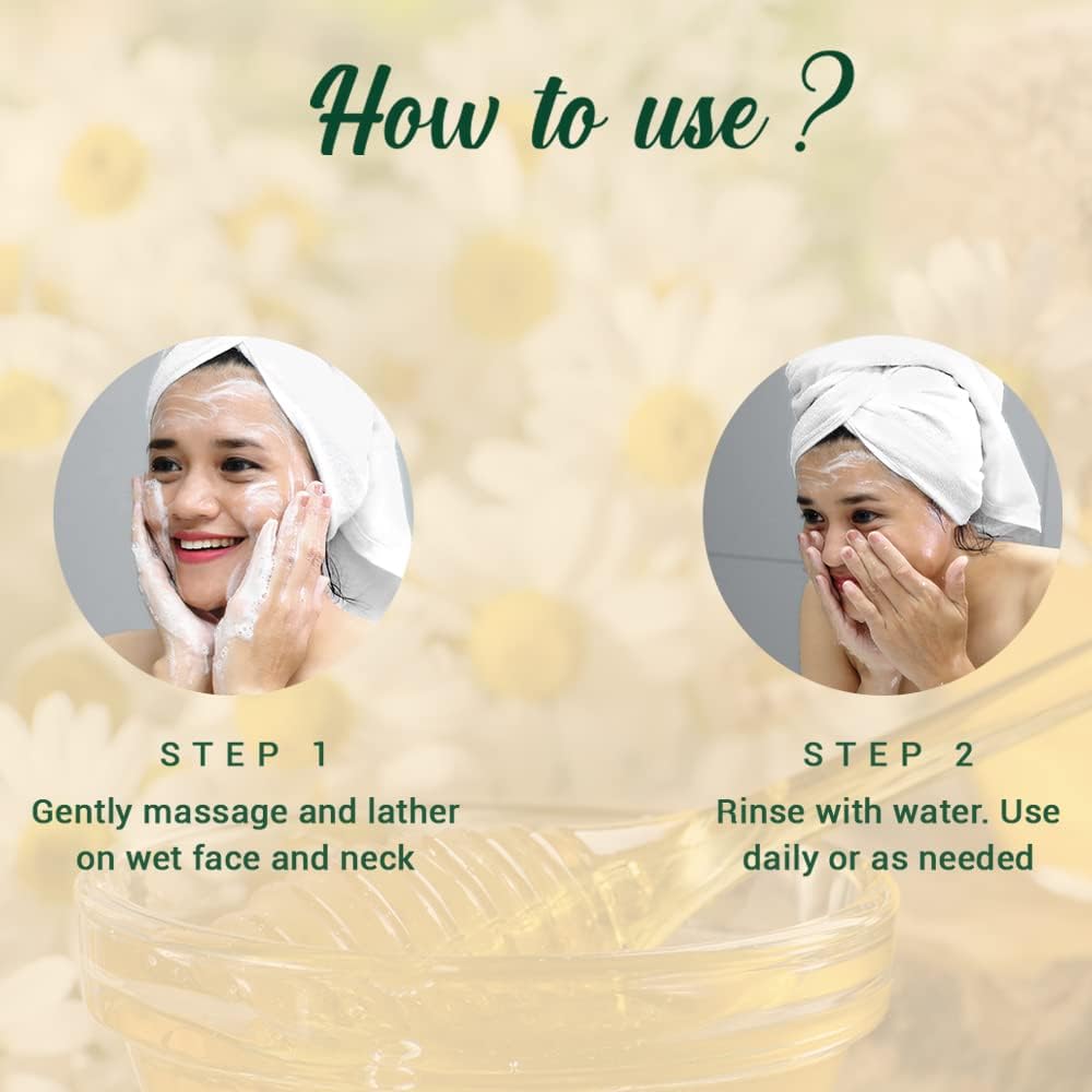 Biotique Honey Gel Soothe & Nourish Foaming Face wash