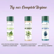Biotique Walnut Volume and Bounce Shampoo and Conditioner