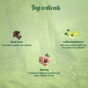 Biotique Fresh Growth Nourishing Treatment Pack - Bio Musk Root,