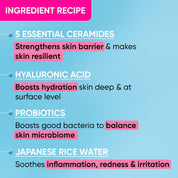 Dot & Key Barrier Repair + Hydrating Gentle Face Wash (100ml)