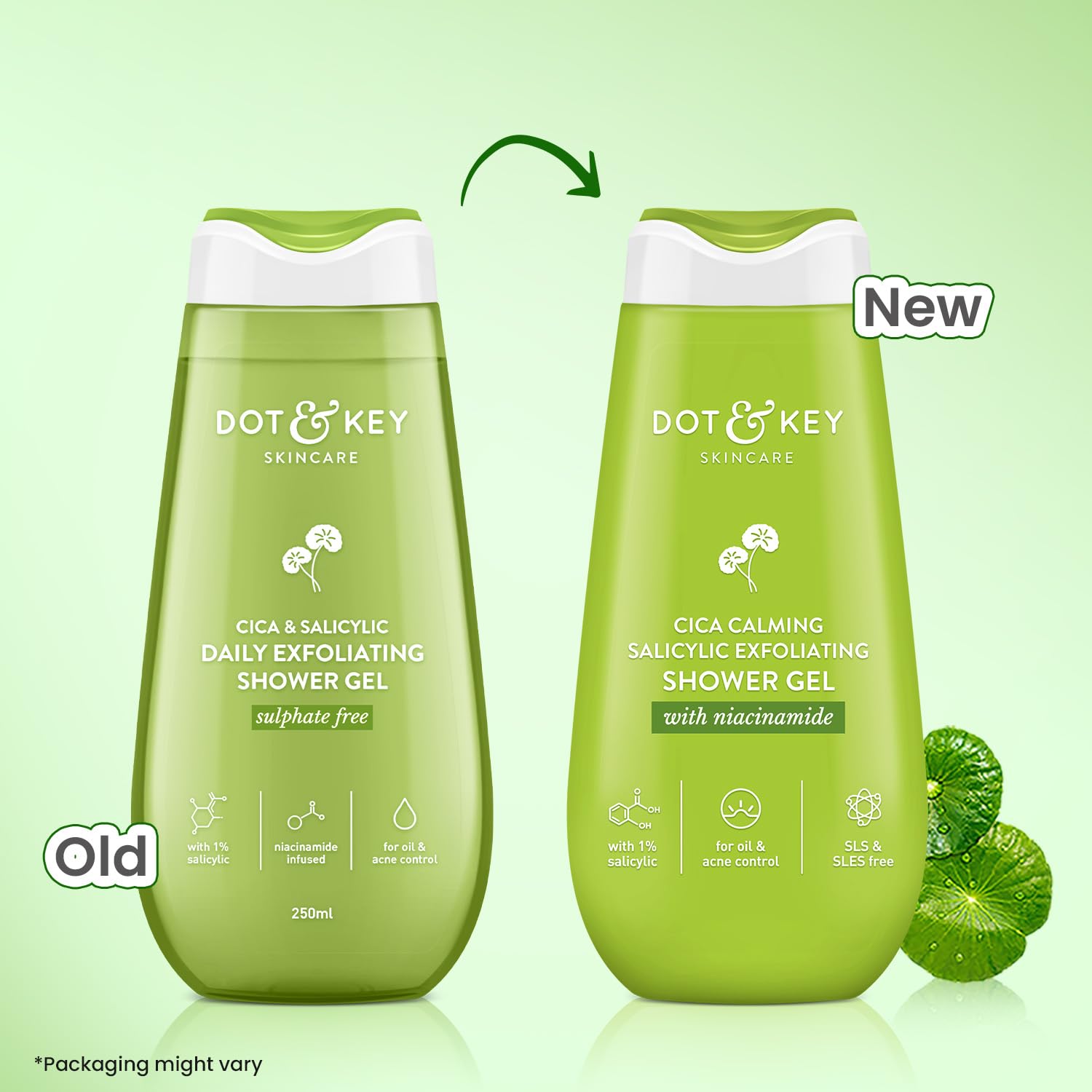 Dot & Key Cica & 1% Salicylic Daily Exfoliating Shower Gel 250ml