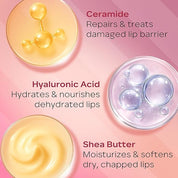 FACES CANADA Ceramide Care Tinted Lip Balm | SPF 50 PA +++ Protection | Hydrates Dry & Chapped Lips | Prevents Pigmentation | Repairs Lip Barrier | With Hyaluronic Acid & Shea Butter Infused