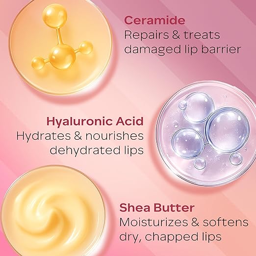 FACES CANADA Ceramide Care Tinted Lip Balm | SPF 50 PA +++ Protection | Hydrates Dry & Chapped Lips | Prevents Pigmentation | Repairs Lip Barrier | With Hyaluronic Acid & Shea Butter Infused