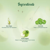 Biotique Green Apple Shine & Gloss Shampoo & Conditioner
