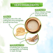 Mamaearth Rice Water Shampoo 250 ml