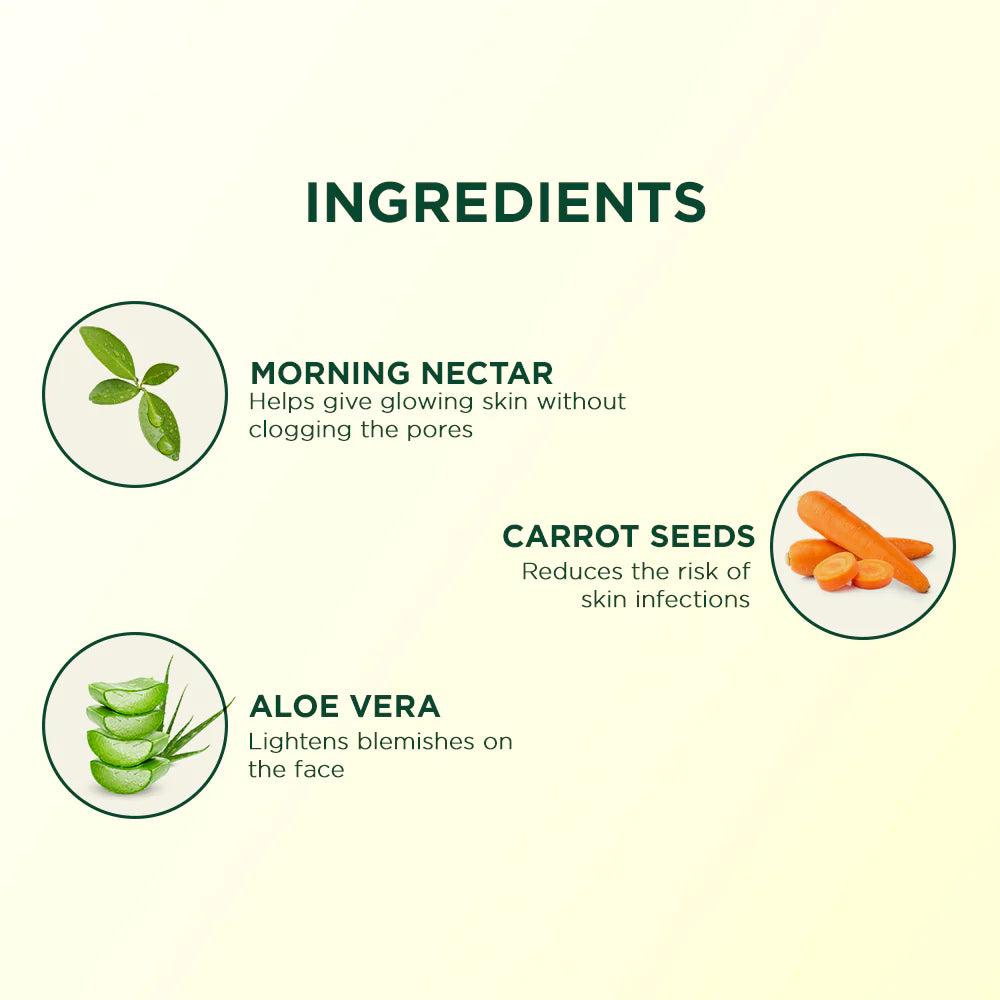 Biotique Morning Nectra Pore Tightening Purifying Toner