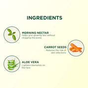 Biotique Morning Nectra Pore Tightening Purifying Toner