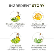 Oshea Herbals Botanical Keratin Hair Repair Shampoo - Restores Protein, Reduces Breakage & Improves Texture - Enriched With Brahmi & Amla Extract 300 ml