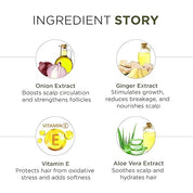 Oshea Herbals Natural Hair Growth Serum | Strengthens Hair, Prevent Hair Fall & Promotes Hair Growth with Healthy Scalp | Enriched with Onion Bulb & Ginger Extract - 110ml