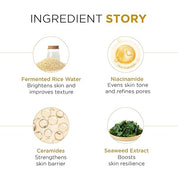 Oshea Herbals Rice Water Brightening Toner for Women & Men | Deeply Hydrates & Brightens Skin Tone | Reduces Dull & Uneven Skin Tone | Enriched with Niacinamides & Ceramides | All Skin Types 120ml