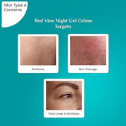 Pilgrim French Red Vine Anti Aging Night Cream for women with Retinol, Mulberry & Vitamin C For Glowing Skin & Skin Repair