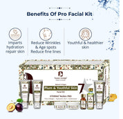 Passion Indulge Eternia NuSkin 7 Star Pro Facial Kit