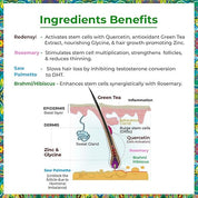 Passion Indulge Hair Growth Serum Rosemary HAIR PROTEINZ