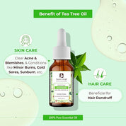 Passion Indulge Tea Tree Pure Essential Oil (10ml)