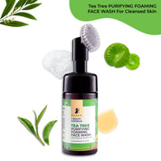 Pilgrim Australian Tea Tree & 1% Salicylic acid Foaming Face wash with brush 120ml