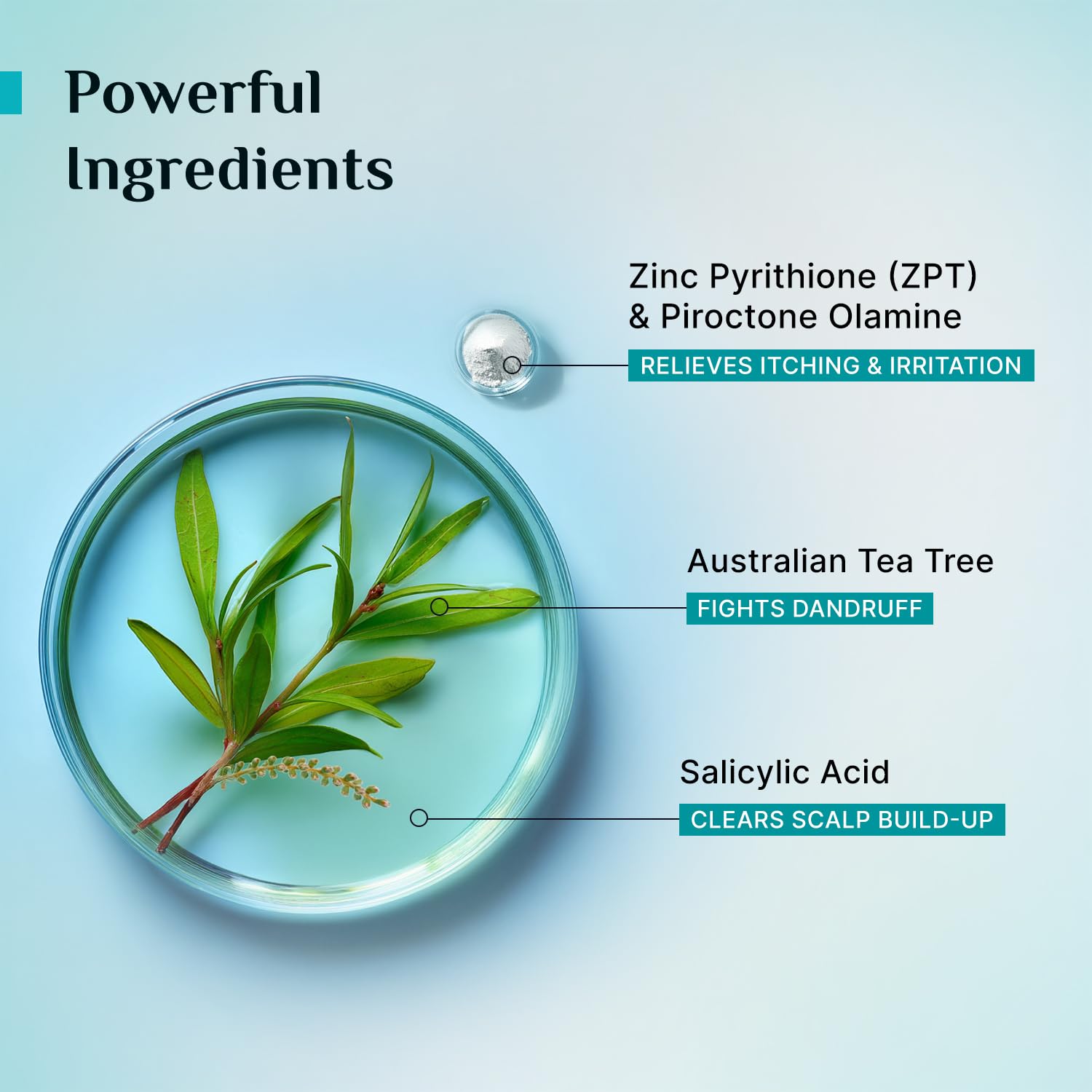 Pilgrim Australian Tea Tree Anti-Dandruff Unscented Conditioner