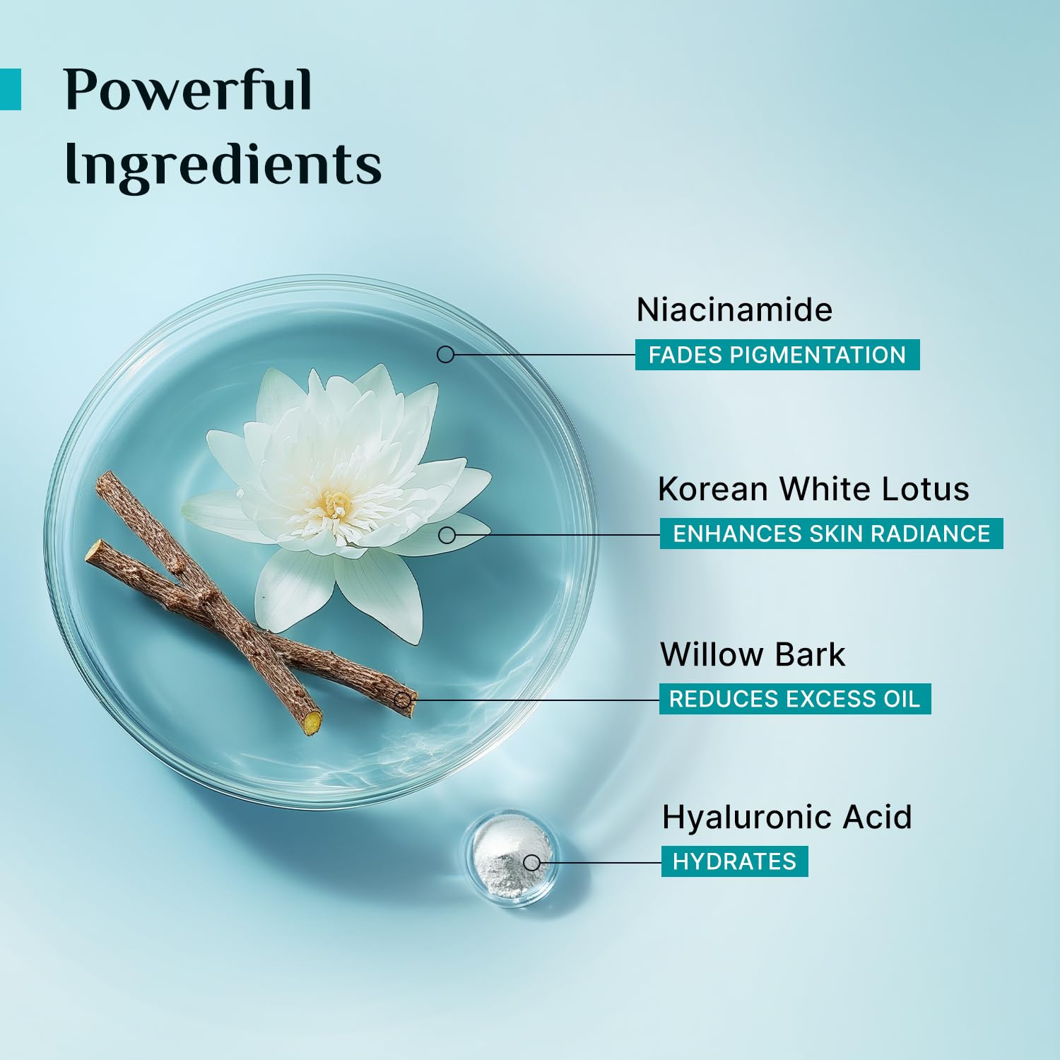 Pilgrim Korean Oil free Gel Moisturizer for oily skin with Hyaluronic Acid & Willow Bark Extracts | Moisturiser for face | Suitable for Oily & Acne-Prone Skin| Men & Women | Korean Skin Care | 50gm