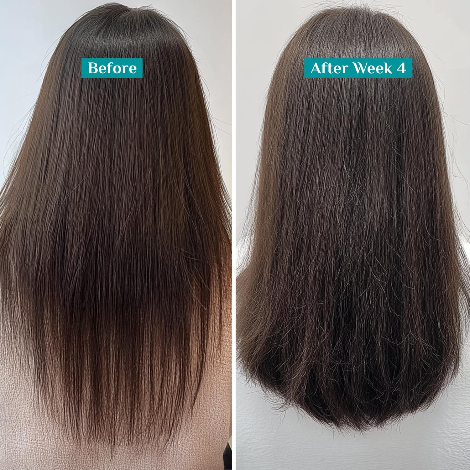 Pilgrim Redensyl & Anagain Hairfall Control Shampoo