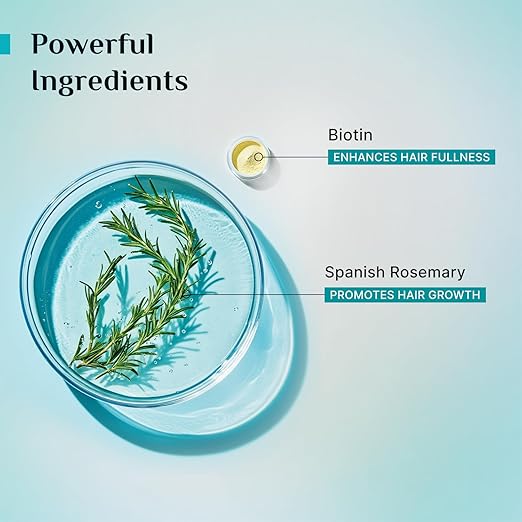 Pilgrim Spanish Rosemary & Biotin Anti Hairfall Conditioner for Reducing Hair Loss & Breakage