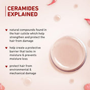 Plum Hibiscus & Ceramides Long & Healthy Smoothing Shampoo, SLS free (250 ml)