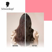 Schwarzkopf Taft Power Mousse