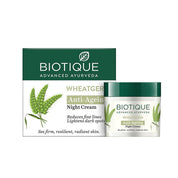 Biotique Wheat Germ Anti- Ageing Night Cream