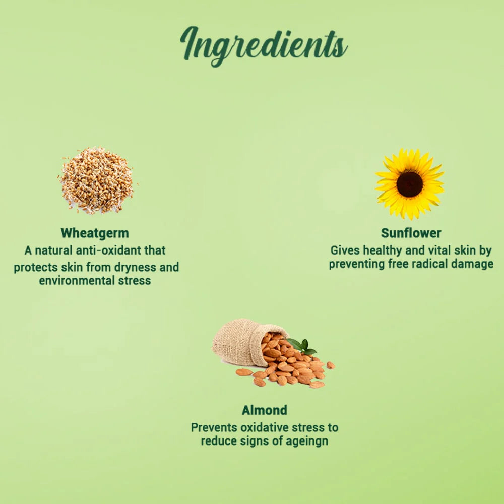 Biotique Wheat Germ Anti- Ageing Night Cream