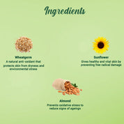 Biotique Wheat Germ Anti- Ageing Night Cream
