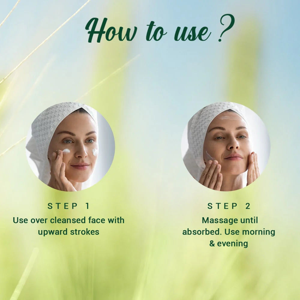 Biotique Wheat Germ Anti- Ageing Night Cream