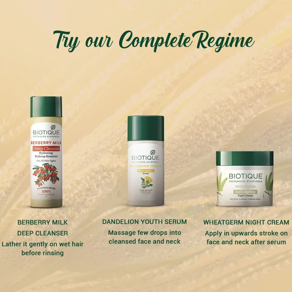 Biotique Wheat Germ Anti- Ageing Night Cream
