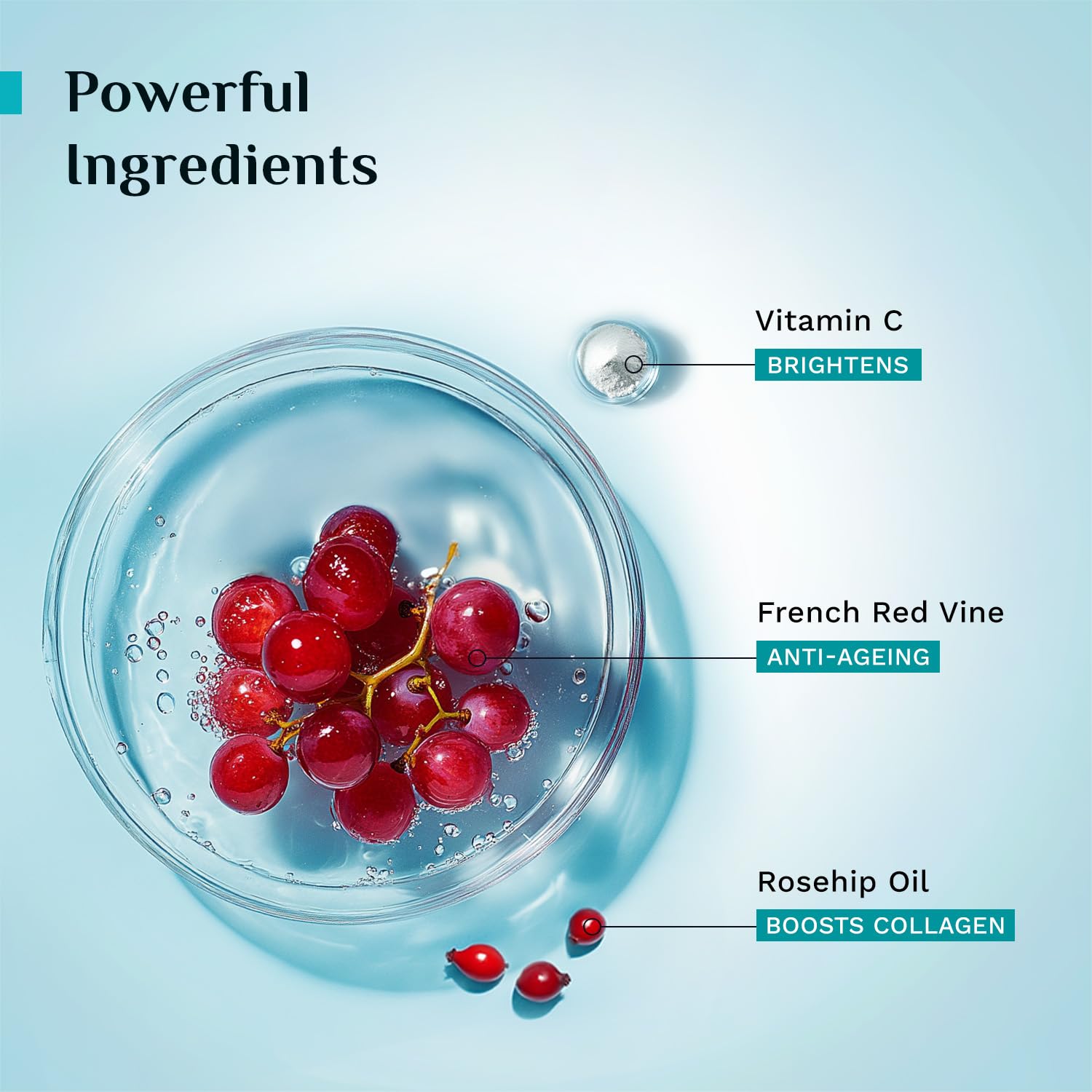 PILGRIM French Red Vine Youthful Glow Moisturizer SPF 30 with Vitamin C, Rosehip Oil For Anti Ageing, Sun Protection PA+++, Daily Use, Dry, Oily, Combination Skin, Men & Women, 50g